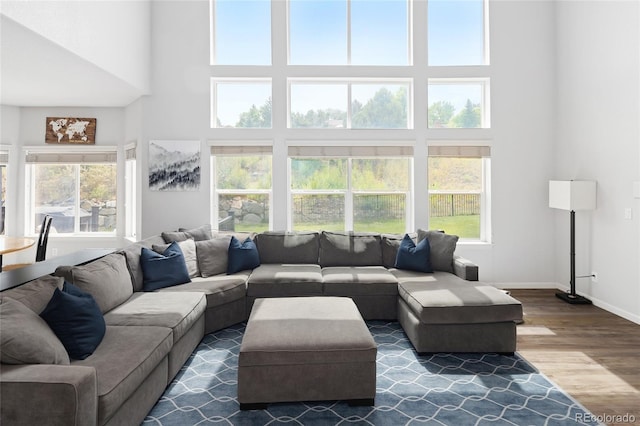 living room with dark hardwood / wood-style floors and a high ceiling