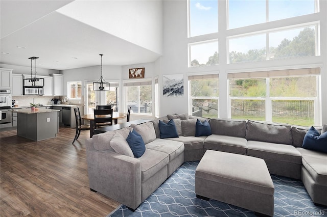 living room with dark hardwood / wood-style flooring, sink, and a high ceiling