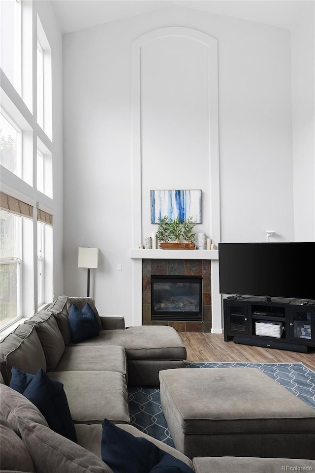 living room featuring a wealth of natural light, a fireplace, and hardwood / wood-style flooring