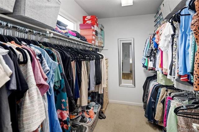 spacious closet with carpet