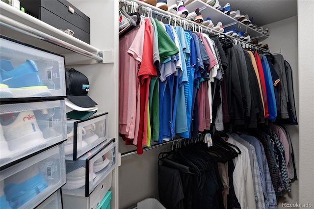 view of spacious closet