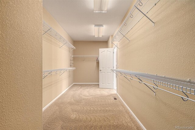 spacious closet with carpet flooring