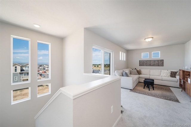 living room featuring light colored carpet