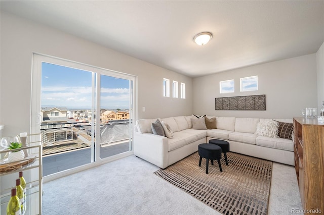 living room featuring light colored carpet