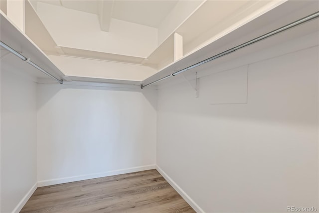 spacious closet with wood-type flooring