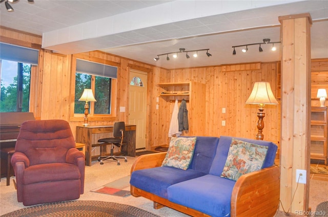 760 Coyote Cir, Black Hawk, CO 80422 - carpeted living area featuring wood walls, track lighting, and a desk