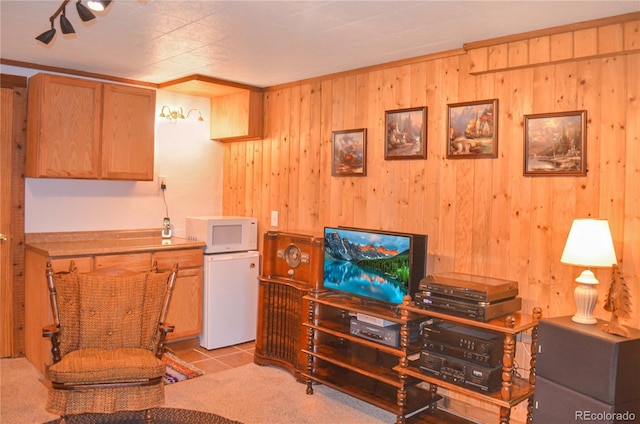 760 Coyote Cir, Black Hawk, CO 80422 - home office with wood walls and tile patterned flooring