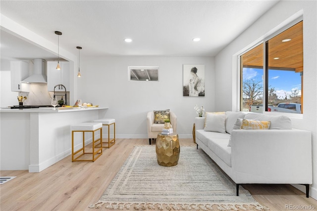 living room featuring light hardwood / wood-style floors