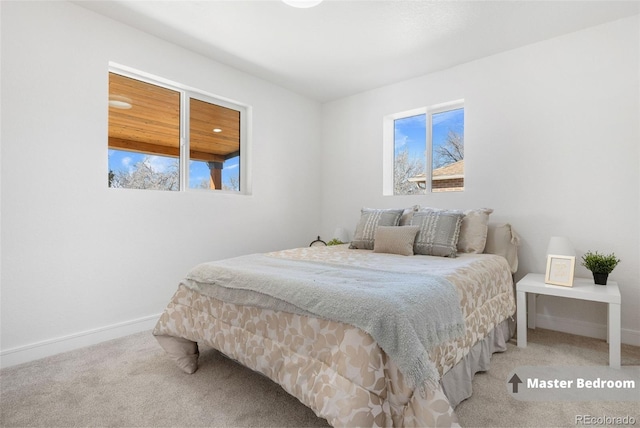 carpeted bedroom with multiple windows