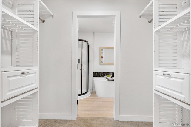 spacious closet with light colored carpet