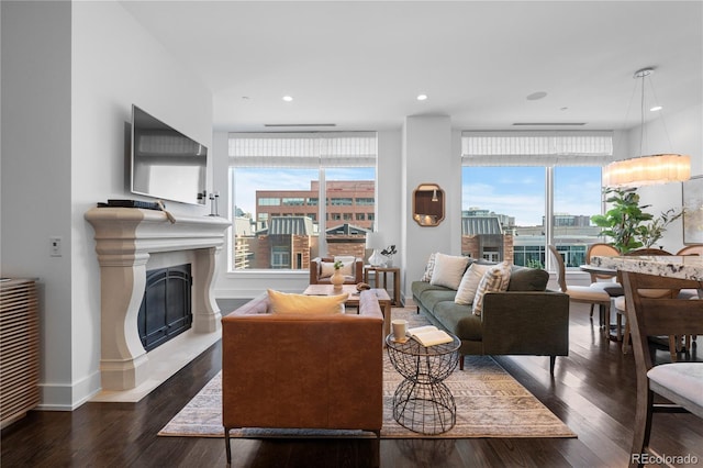 living room with dark hardwood / wood-style floors