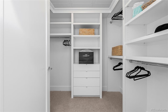 walk in closet featuring light carpet