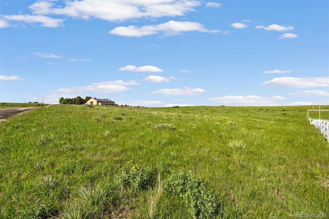 8445 Vinegarroon Rd, Parker, CO 80138 - photo 2