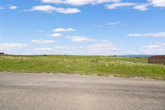 8445 Vinegarroon Rd, Parker, CO 80138 - photo 4