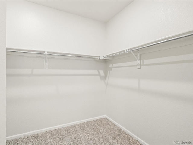 walk in closet with carpet