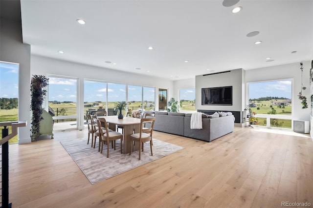 dining space with light hardwood / wood-style flooring