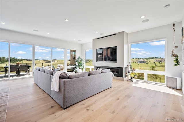 living room featuring light hardwood / wood-style flooring