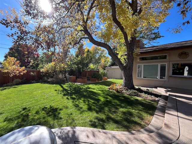 view of yard with a patio