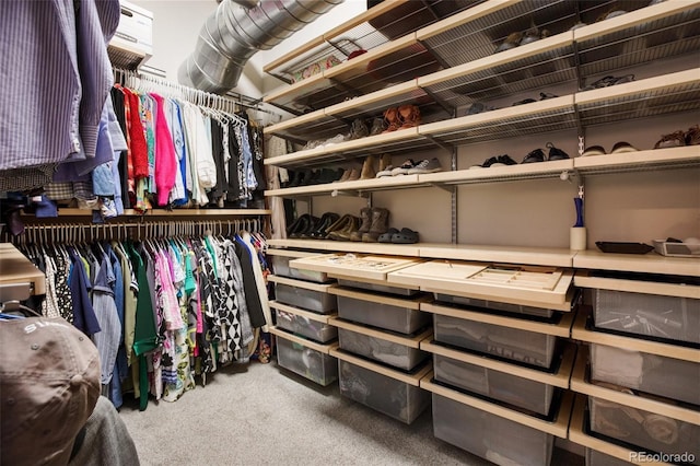 walk in closet featuring carpet flooring