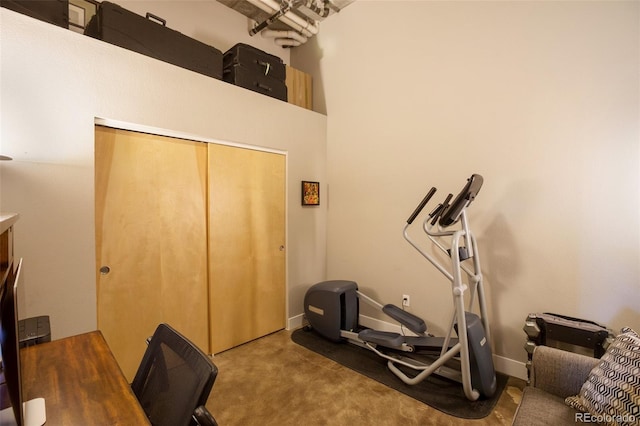 exercise room with carpet and a high ceiling