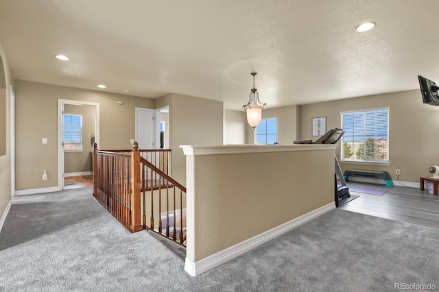 5285 La Quinta Cir, Elizabeth, CO 80107 - photo 21