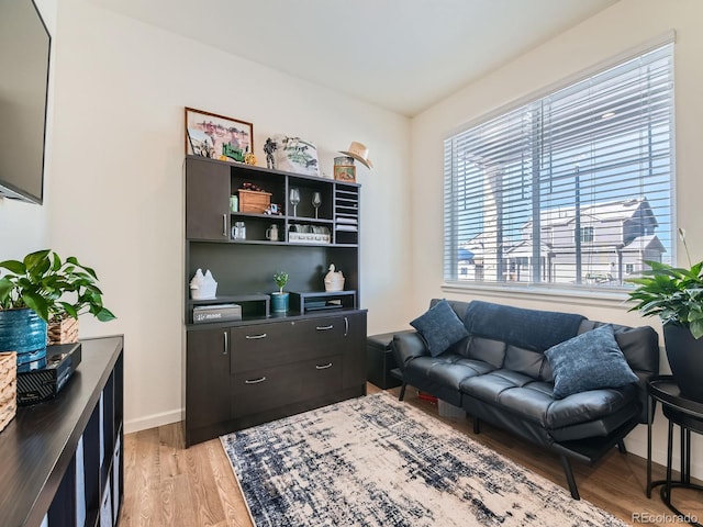 living room featuring light hardwood / wood-style floors