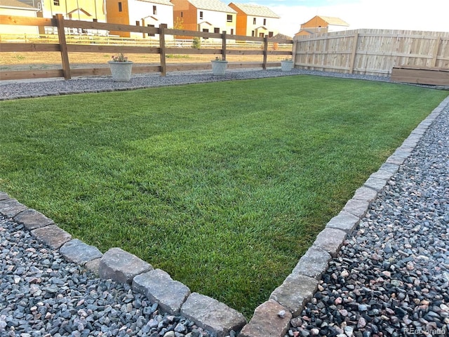 2300 Mountain Sky Dr, Fort Lupton, CO 80621 - view of yard