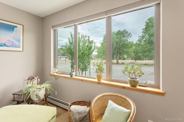 463 California St, Buena Vista, CO 81211 - photo 7