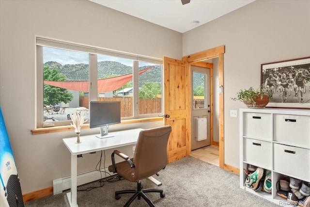 463 California St, Buena Vista, CO 81211 - photo 18