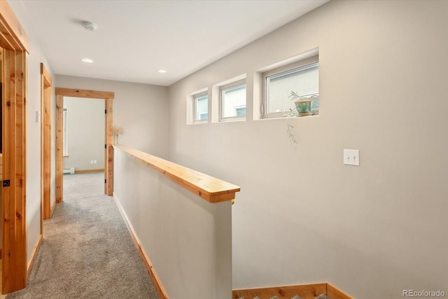 463 California St, Buena Vista, CO 81211 - photo 21