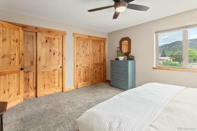 463 California St, Buena Vista, CO 81211 - photo 24