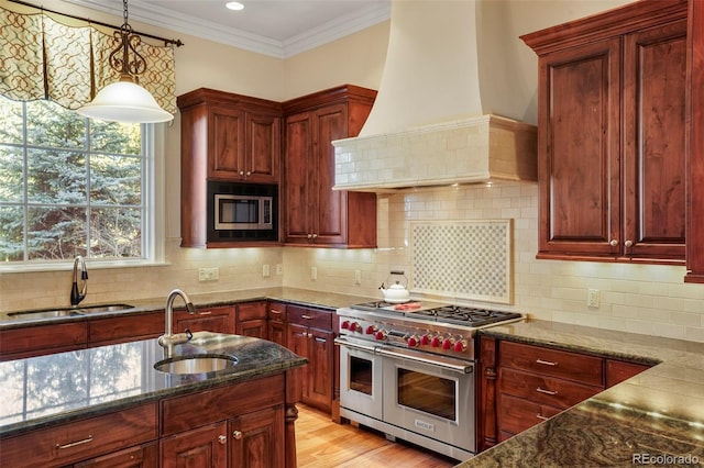 kitchen featuring appliances with stainless steel finishes, premium range hood, a sink, and dark stone countertops