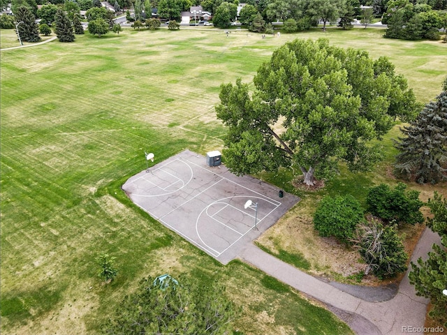 3871 S Narcissus Way, Denver, CO 80237 - photo 45