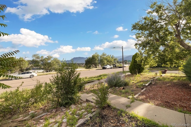 3102 E San Miguel St, Colorado Springs, CO 80909 - photo 20