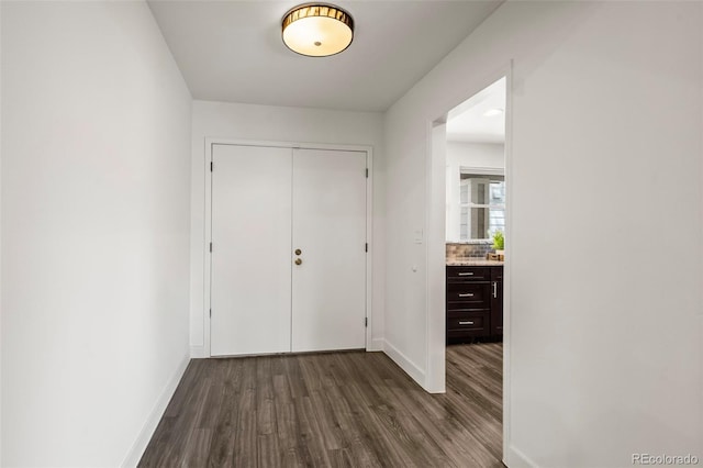 1011 Pierce St Unit 11, Lakewood, CO 80214 - entrance foyer featuring dark wood-type flooring and baseboards