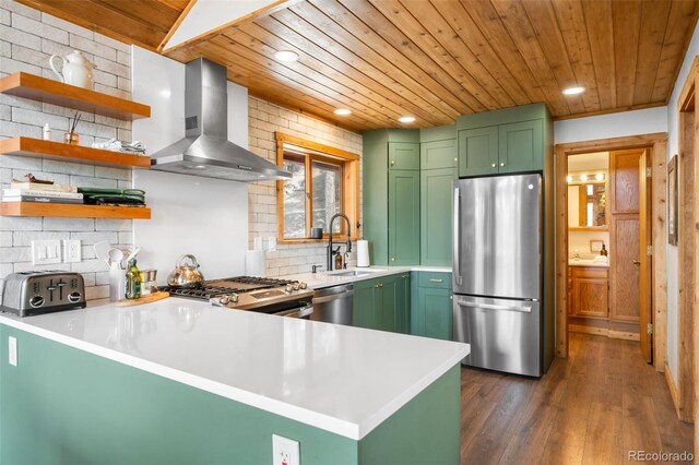 489 Harris Dr, Idaho Springs, CO 80452 - kitchen featuring appliances with stainless steel finishes, green cabinets, wall chimney range hood, wooden ceiling, and a sink