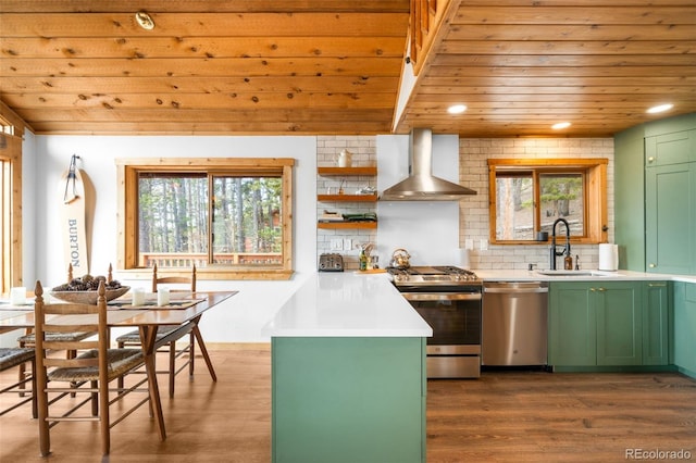 489 Harris Dr, Idaho Springs, CO 80452 - kitchen with green cabinets, appliances with stainless steel finishes, wall chimney exhaust hood, wooden ceiling, and a sink