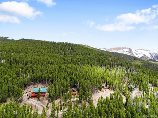 489 Harris Dr, Idaho Springs, CO 80452 - view of mountain background with a forest