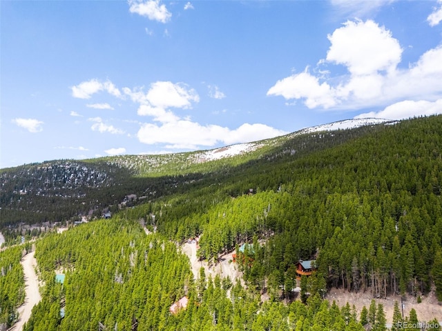 489 Harris Dr, Idaho Springs, CO 80452 - view of mountain background with a forest