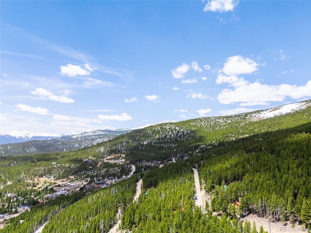 489 Harris Dr, Idaho Springs, CO 80452 - view of mountain backdrop featuring a forest