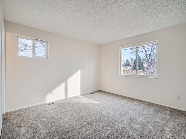 carpeted spare room featuring a textured ceiling and a wealth of natural light