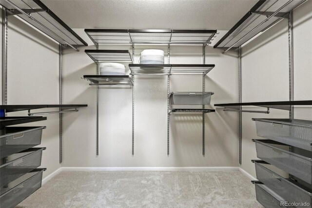 2815 Dreamcatcher Loop, Castle Rock, CO 80109 - spacious closet featuring carpet floors
