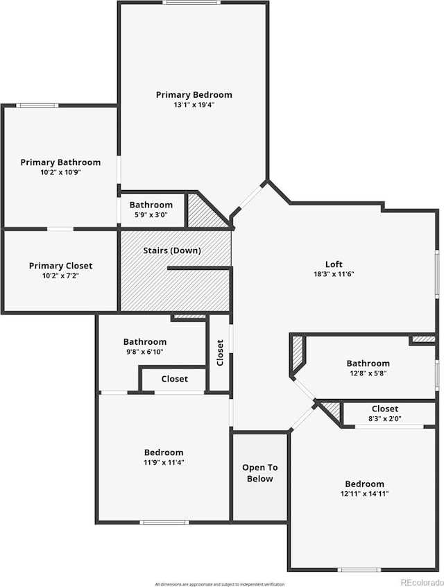 2815 Dreamcatcher Loop, Castle Rock, CO 80109 - view of floor plan / room layout