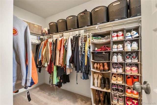 23920 E 34th Ave, Aurora, CO 80019 - spacious closet with carpet floors