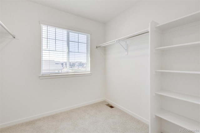 spacious closet with carpet floors