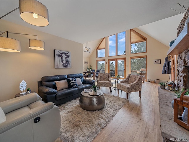 living area featuring a fireplace, wood-type flooring, and high vaulted ceiling