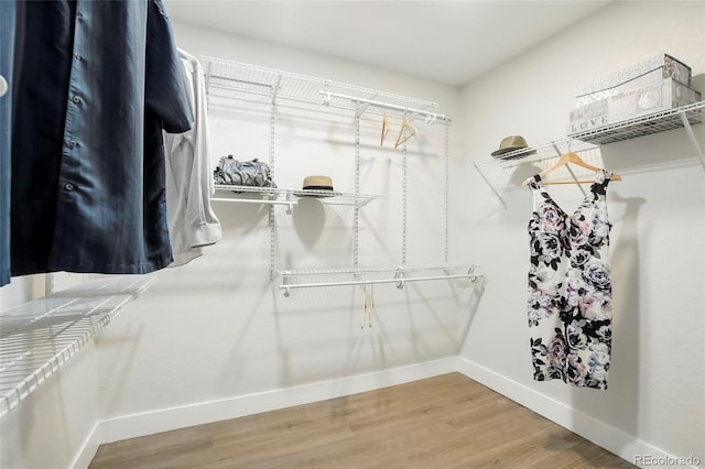 7329 S Jay St, Littleton, CO 80128 - photo 27