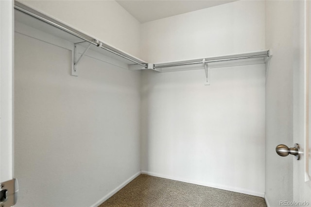 7080 Simms St Unit 204, Arvada, CO 80004 - photo 28