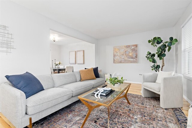 living room featuring baseboards and wood finished floors