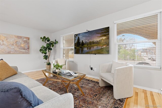 living area featuring baseboards and wood finished floors